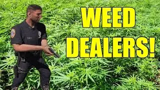 DRUG DEALERS - Arma 3 Altis Life