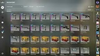 10% Desert Eagle | Printstream /40%AK-47 | Neon Revolution CSGO trade up