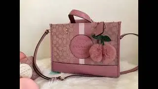 What&rsquo;s in my DEMPSEY TOTE