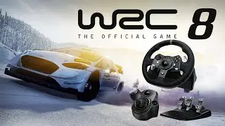 WRC 8 Logitech G920 G29 The Best Force Feedback & Wheel Settings