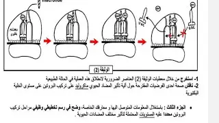 تمرين المسعى العلمي الماكروليد الجزء الثاني