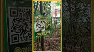 கிரீன் நீடா வின் குறுங்காடு...Green Needa | கிரீன் நீடா