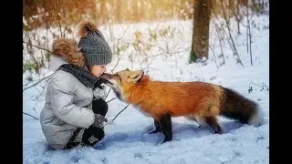 Pet Arctic Fox 💖 Cute and Funny Fox Videos Compilation 💖 Animals Funny