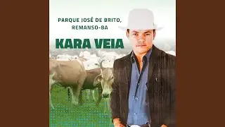 Saudades Suas (Ao Vivo)