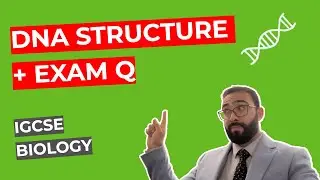DNA Structure + Exam Q  | IGCSE Edexcel Triple Biology