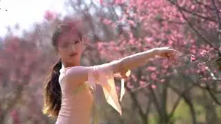 Plum blossoms add spring color to Yangzhou