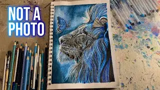 Hyperrealistic Lion and Butterfly | Colored Pencil Drawing Timelapse