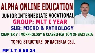 INTER I YR MLT MICRO & PATHOLOGY:MORPHOLOGY & CLASSIFICATION OF BACTERIA, STRUCTURE OF BACTERIA CELL