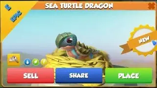SEA TURTLE Dragon Hatching + Clan Quests For Days! - DML #678