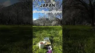 Super Morning in Japan | Relaxing on Green Grass & Enjoying Nature #traveljapan