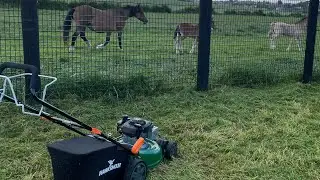 Hawksmoor 125cc 46cm Briggs and Stratton Self Propelled Petrol Lawnmower.