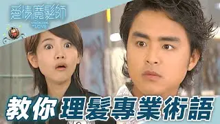 【愛情魔髮師】奇葩菜鳥同事工作出包 首席設計師拉耳朵教訓｜精華