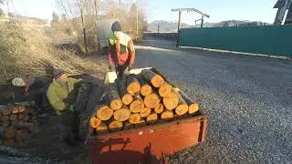 Ich und mein Holz :) #Holzfäller extrem bei der Arbeit / Massey Ferguson / Krpan / Husqvarna