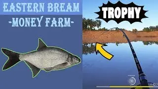 Eastern Bream & White-Eye Bream New Spot [Russian Fishing 4]