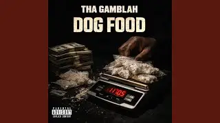 Dog Food