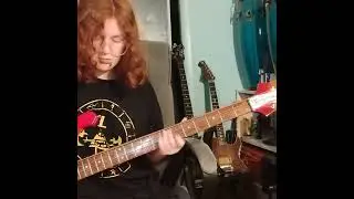 Interstate Love Song/Stone Temple Pilots bass play along by Cara #stp #robertdeleo #purple #bass