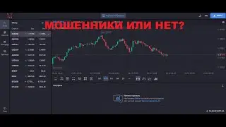 Maggroup: отзывы. Стоит ли сотрудничать?