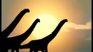 Strength In Unity [Part 2]