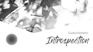 Introspection SHORT GUIDED MEDITATION (4 Minutes)