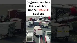 Fragile Items on the Airplane: Should I Carry or Check Them? Airport Tips for Newbie Travelers