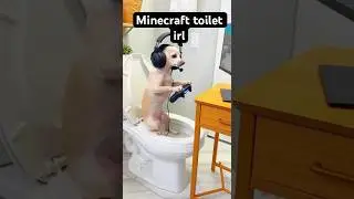 Minecraft toilet irl #funnydogs #gaming #minecraft #streamer #viralshorts