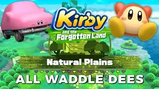 All Natural Plains Waddle Dees - Kirby and the Forgotten Land