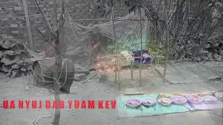 Ua Nyuj Dab Yuam Kev Thiaj Mob Tag Tsev 06/26/2020