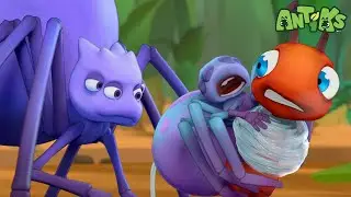 Run Run Spider Baby! 🐜😲🕷️ | Antiks | Funny Cartoons for Kids | Moonbug Kids Express Yourself!