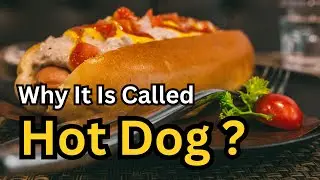 What Exactly Is a Hot Hog? The Truth Will Shock You!