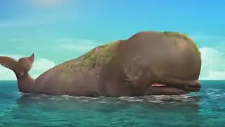 Whale Burp and Fart Edit (Reupload from Main Channel)