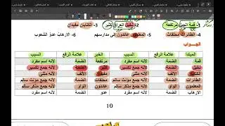 امتحان قواعد اللغة العربية للصف السادس ابتدائي الشهر الثاني  