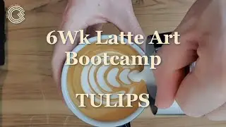 Tulip Latte Art Tutorial - 6 Week Latte Art Bootcamp Episode 3