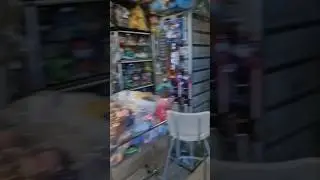 Gameshop in 73240 Wendlingen am Neckar.
