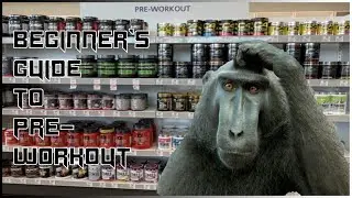 How To Choose a Good Pre-Workout | Beginner's Guide To Pre-Workout Supplements