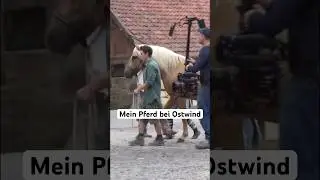 Mein Pferd Brego bei Ostwind 4 - Das komplette Making Of findet ihr auf meinem Kanal!
