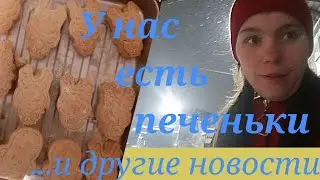 Vlog спасибо вам большое 