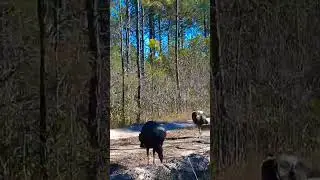Следующий в очереди