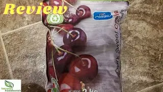 Review Alasko Organic Frozen Cherries