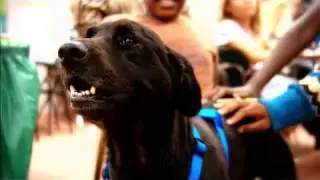 Healing Species Program