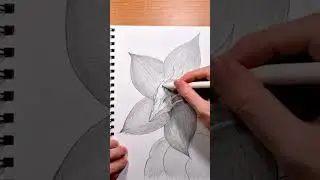 16 - I drew 31 dragons in 1 month!