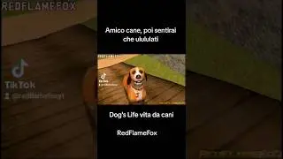 Amico cane, sentirai che ULULULATI