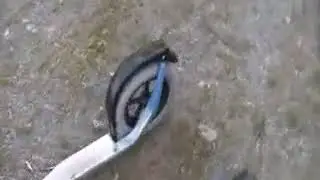 Testissä ESLA
