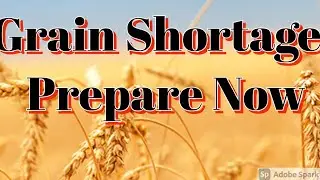 HUGE Grain Shortages On The Horizion