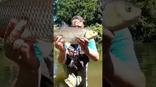 Monster 6lb chub on ultra lite lure