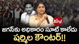 జగన్‌కు అధికారం సూట్ కాలేదు..షర్మిల కౌంటర్!! | YS Sharmila Strong Counter To YS Jagan | Bird Media |