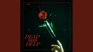 DMD