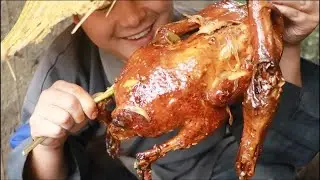 【Shyo video】此鸭只应天上有，人间哪得几回闻