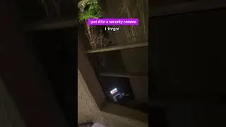 Я внедрил искусственный интеллект в камеру видеонаблюдения.