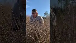 Fisherman VS. Gamewarden