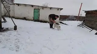 Real life on farm.  First snow.  My cellar with fruit and vegetables in winter.  Best Way to Store.